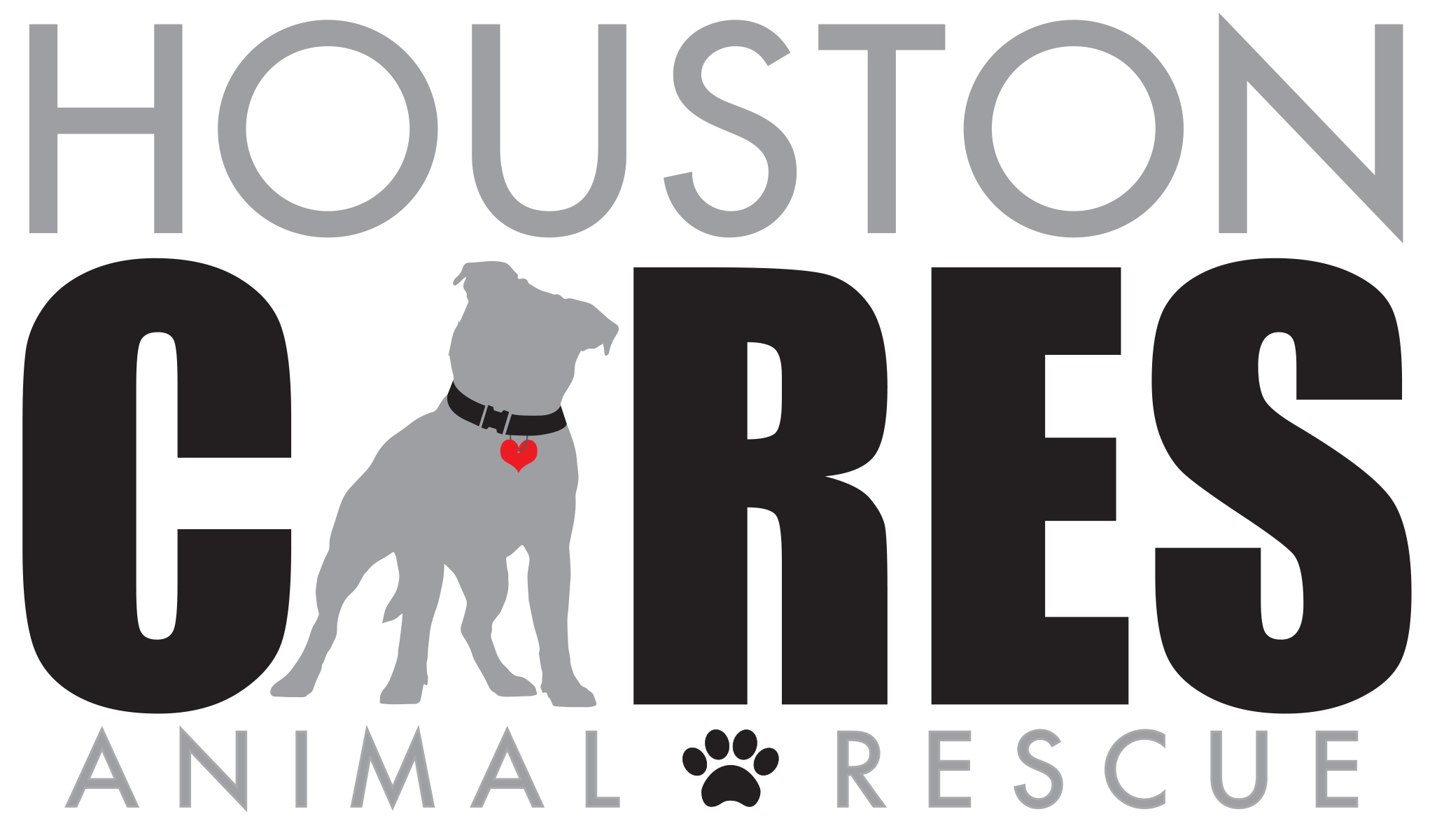 Cats and dogs available for adoption by nonprofit pet rescue groups